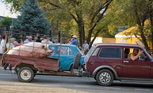 11月最新里番 如果您有其他问题或需要帮助