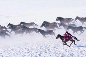 菠萝蜜 菠萝蜜首次尝试宜少量