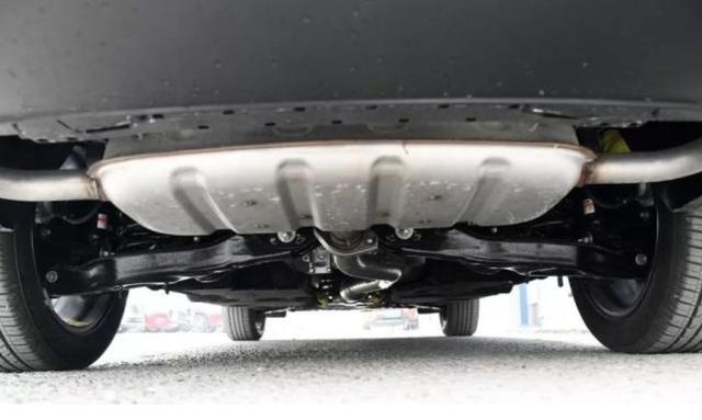 菠萝蜜 菠萝蜜首次尝试宜少量