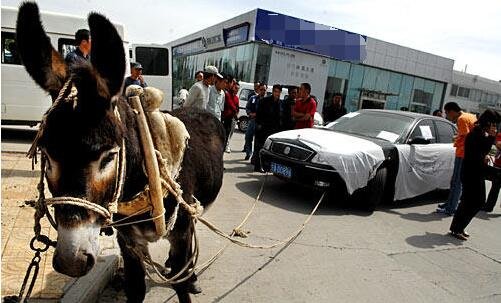 男同动画gv 正规的男同作品可供欣赏