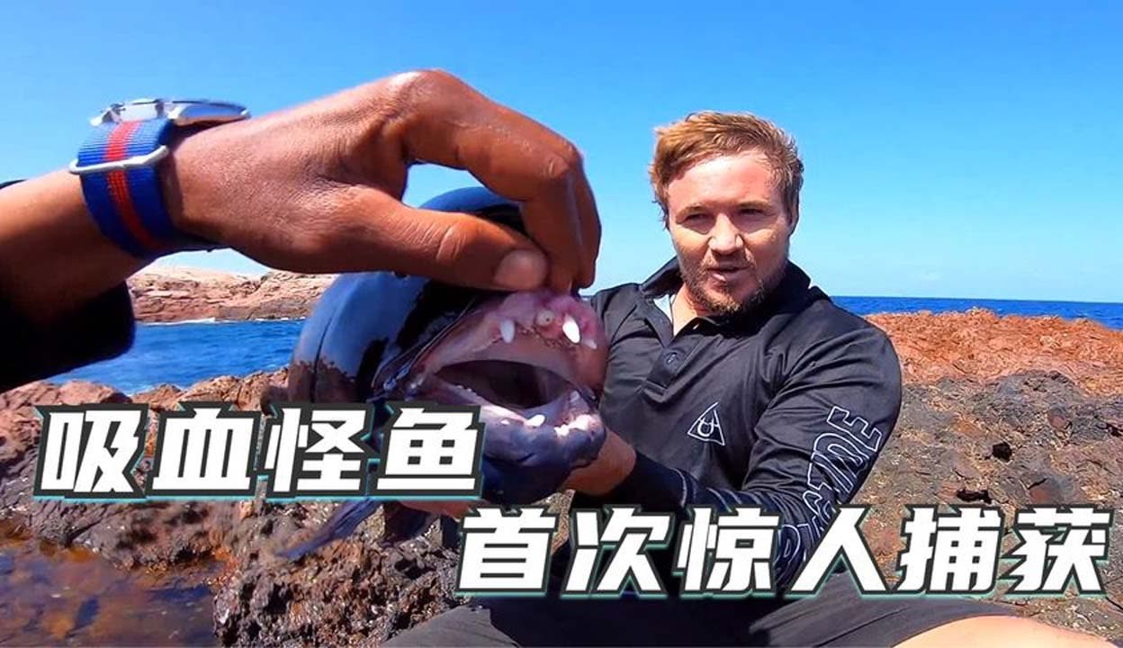 黑料大全最新 其界面设计通常较为简洁