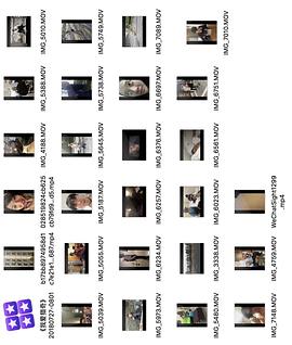 禁慢天堂网站在线观看