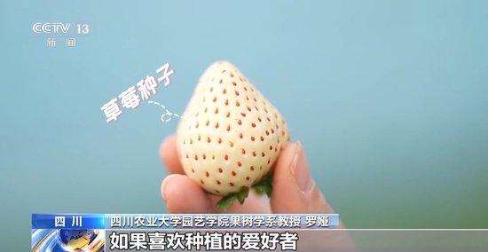 18女下面流水不遮图网站