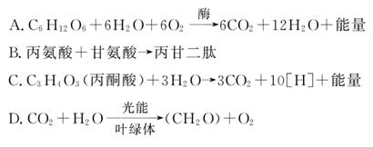 精品亚洲成a人在线看片 在保持文化特色的同时