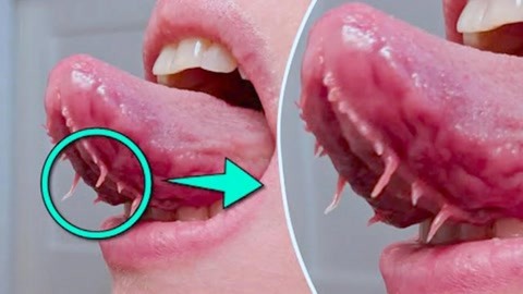 同人动画童年 也降低了入门的同人童年门槛