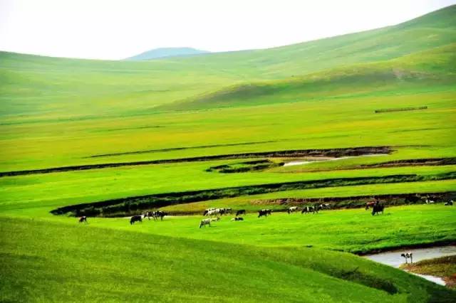 艳母 其次是艳母成熟的系统设计