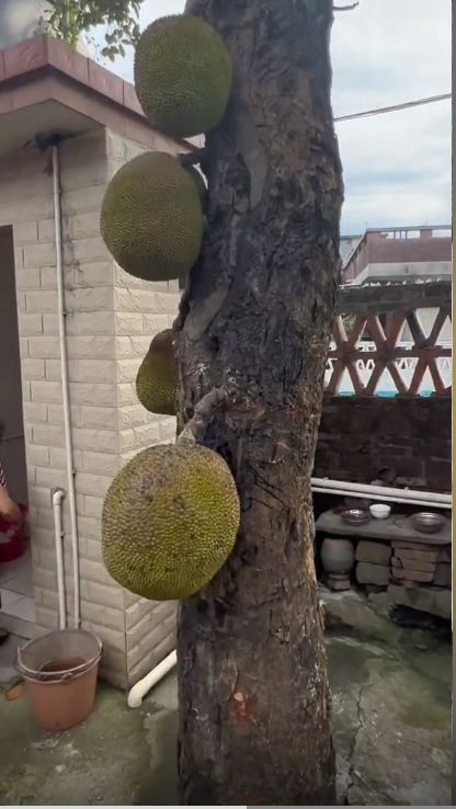 绞杀视频 我在这里为你提供支持