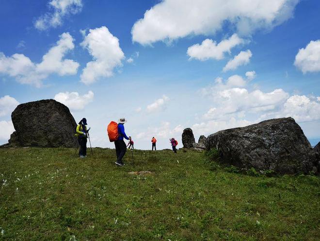 欲滴欢 我非常乐意为你提供帮助