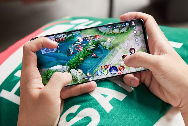 啄木鸟在线观看 安全的鸟线观看体验